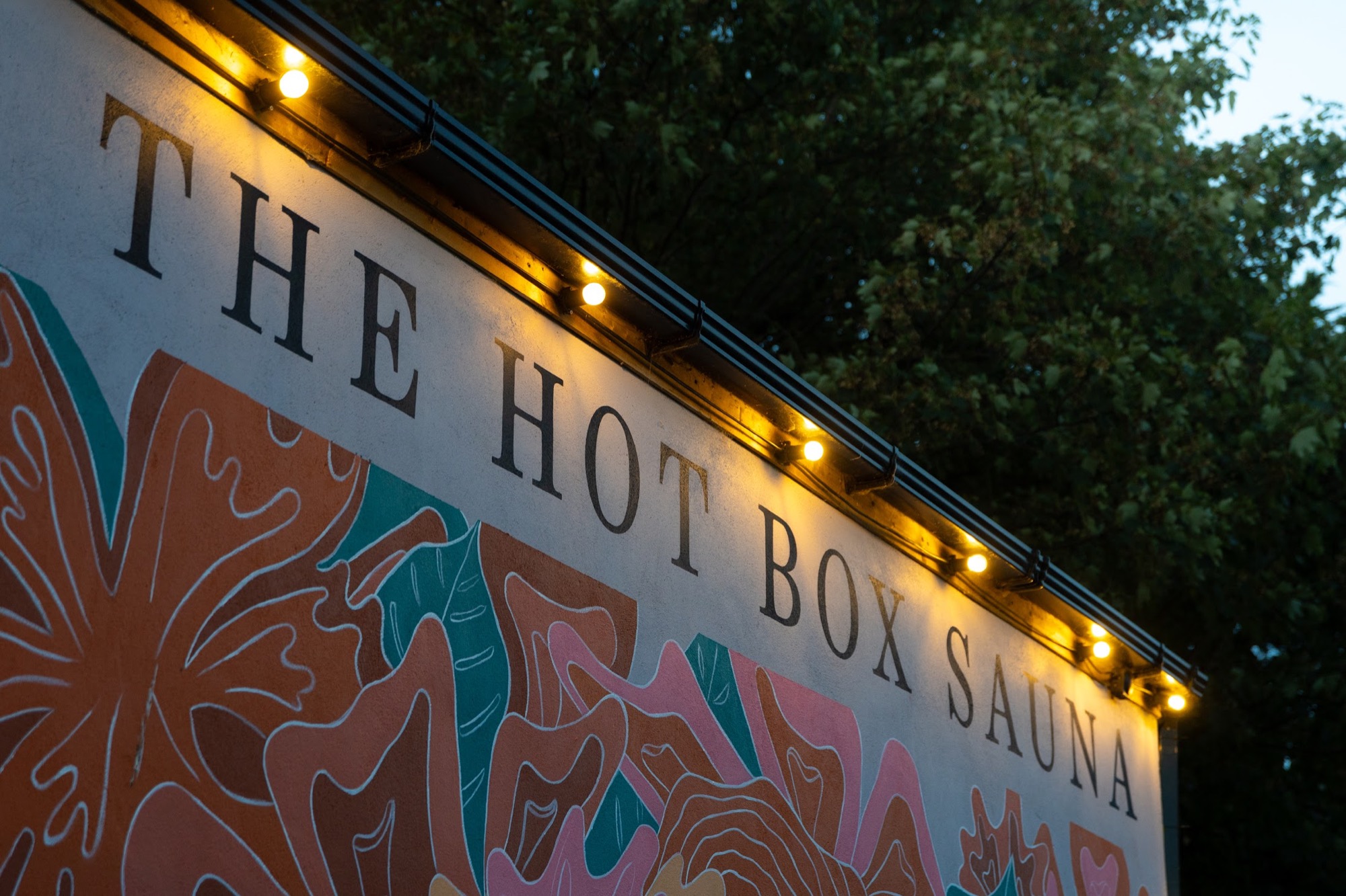 Hot Box Sauna Inchicore photo 2