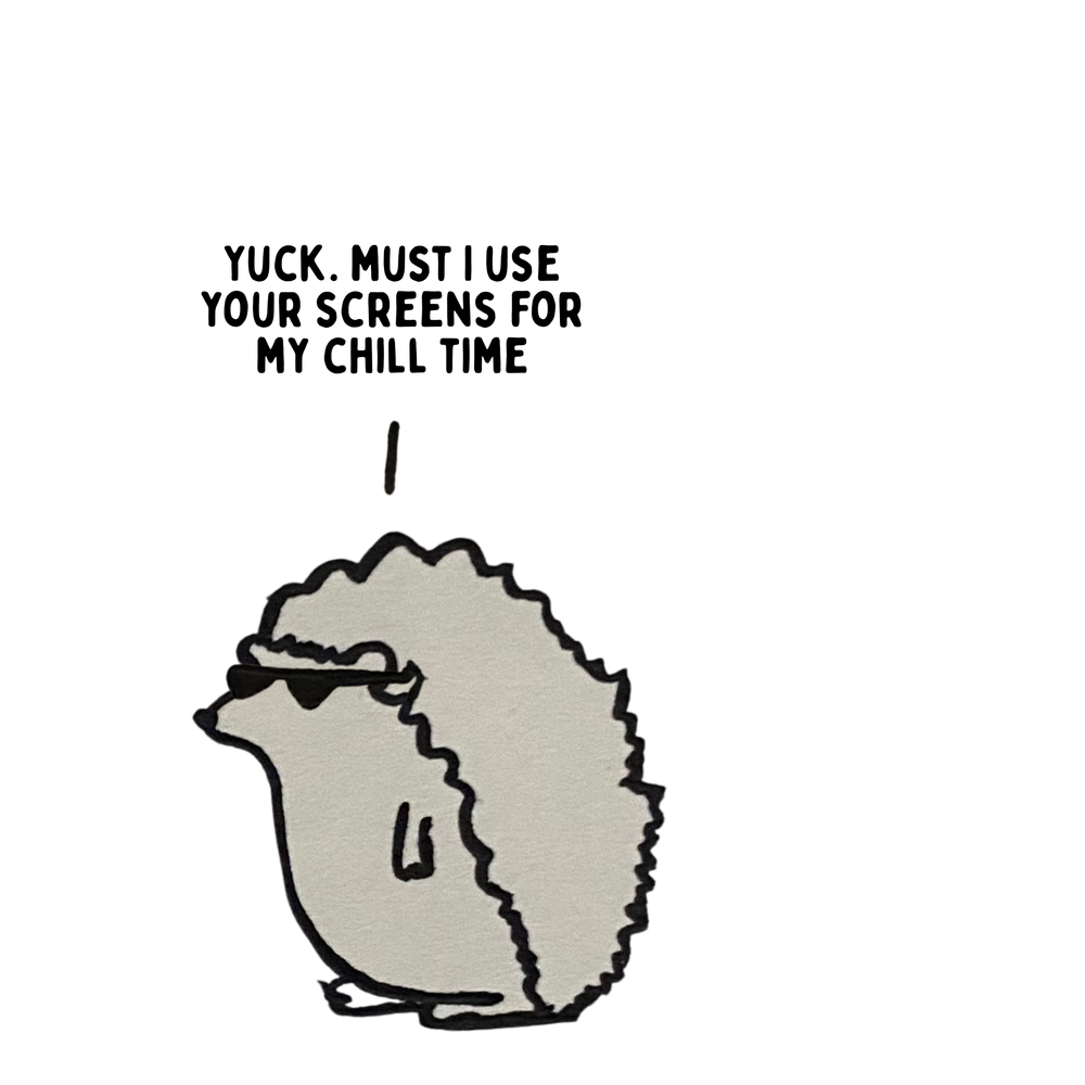 Greystones wellness setting